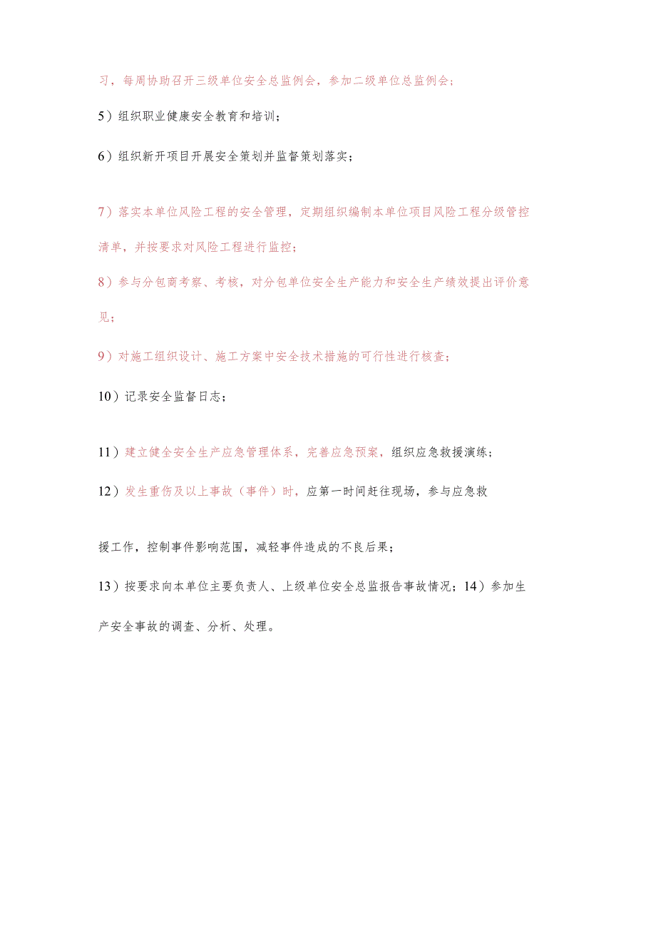 施工安全总监职业健康安全生产责任清单及工作任务清单.docx_第2页