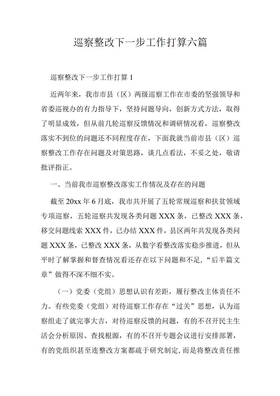 巡察整改下一步工作打算六篇.docx_第1页