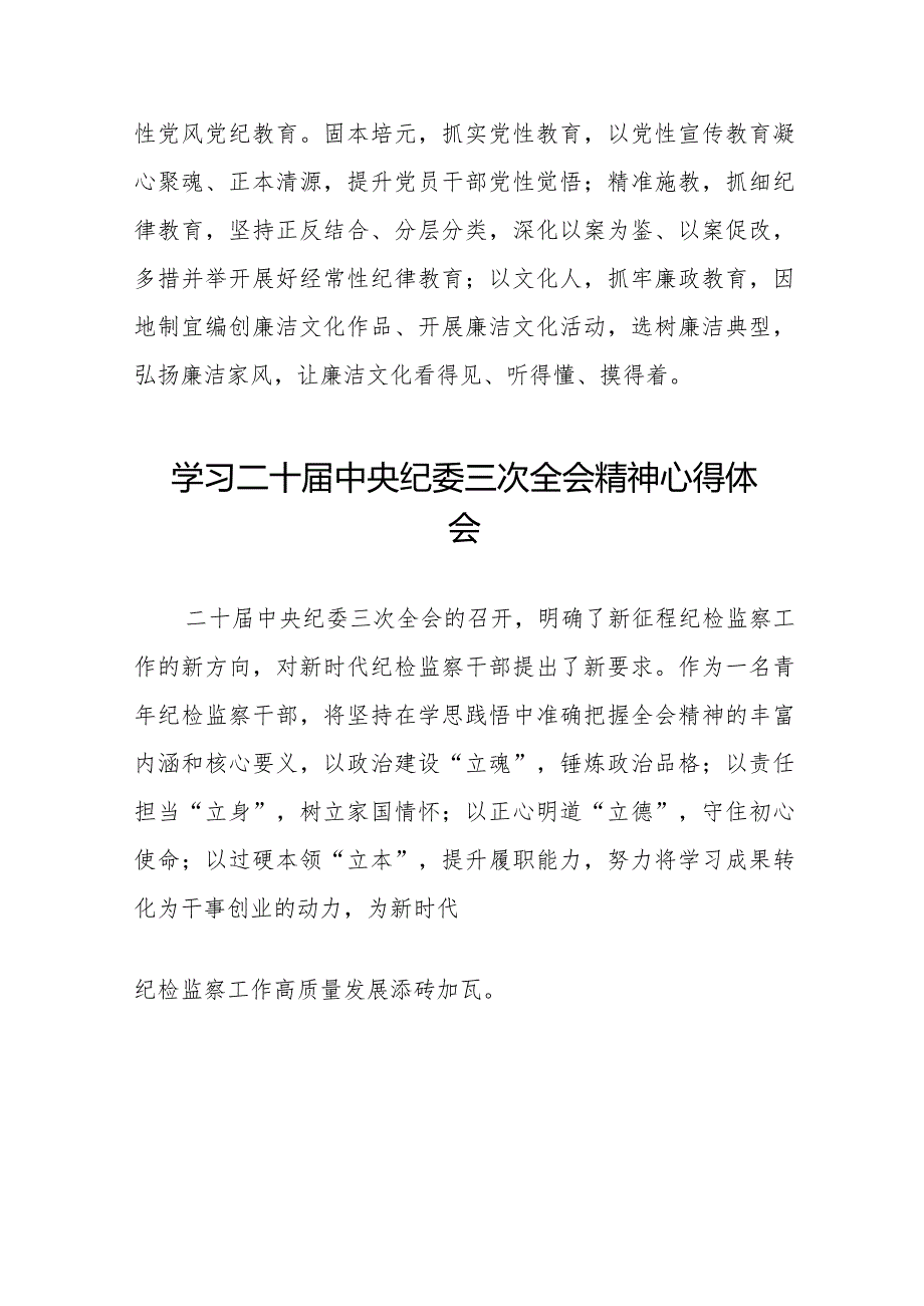 2024年二十届中央纪委三次全会精神学习心得体会十九篇.docx_第3页