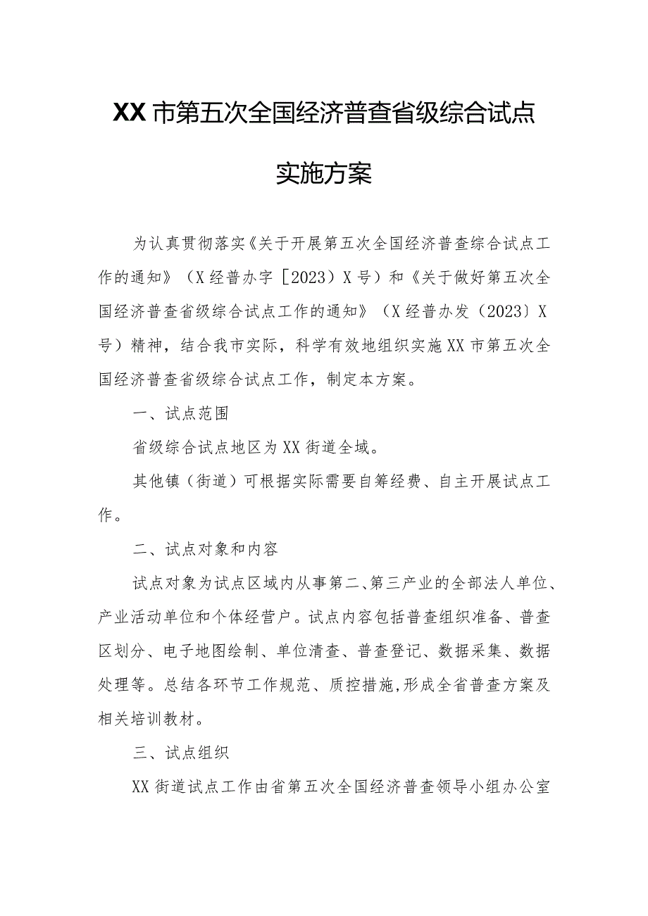 XX市第五次全国经济普查省级综合试点实施方案.docx_第1页