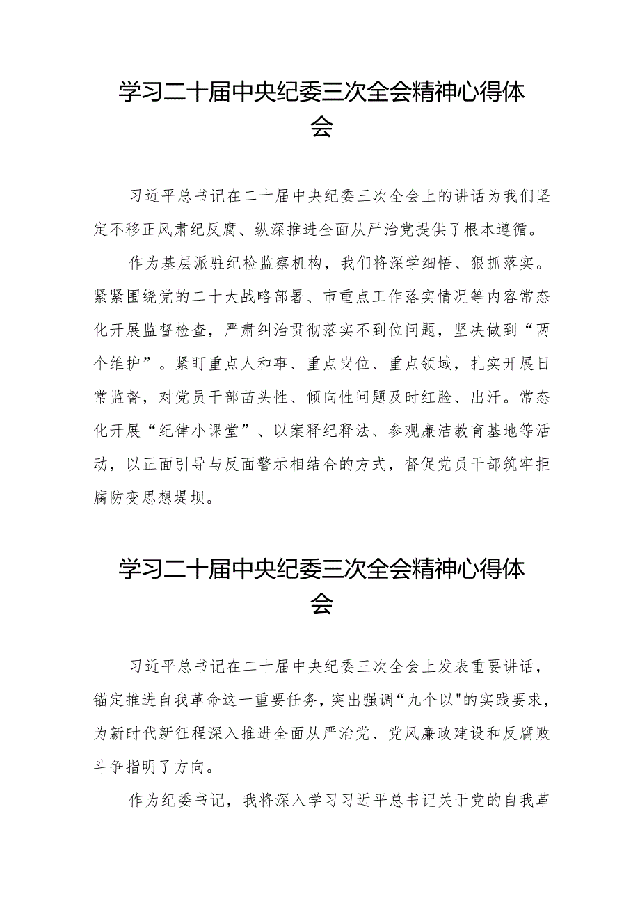 学习贯彻二十届中央纪委三次全会精神心得体会发言稿十九篇.docx_第2页