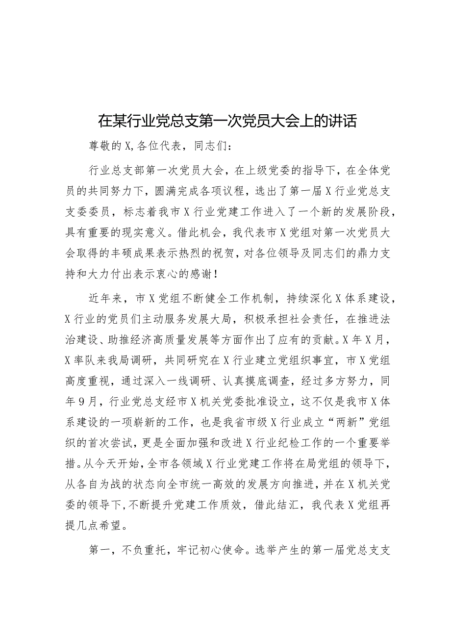 在某行业党总支第一次党员大会上的讲话&2023年书记抓党建工作述职报告.docx_第1页