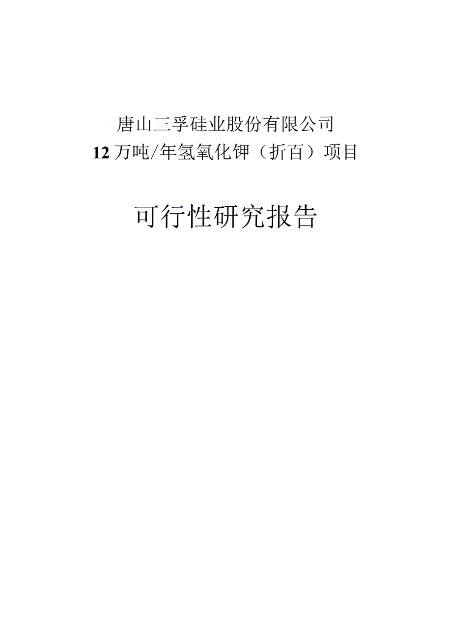 新建年产12万吨氢氧化钾（折百）项目可行性研究报告.docx_第1页