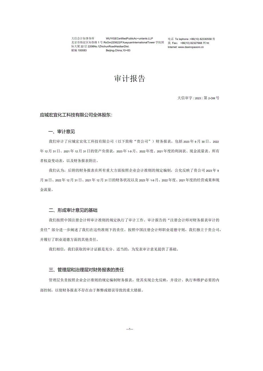 双环科技：应城宏宜化工科技有限公司2023年1-9月、2022年度、2021年度审计报告.docx_第2页