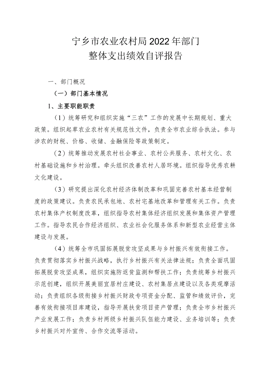 宁乡市农业农村局2022年部门整体支出绩效自评报告.docx_第1页