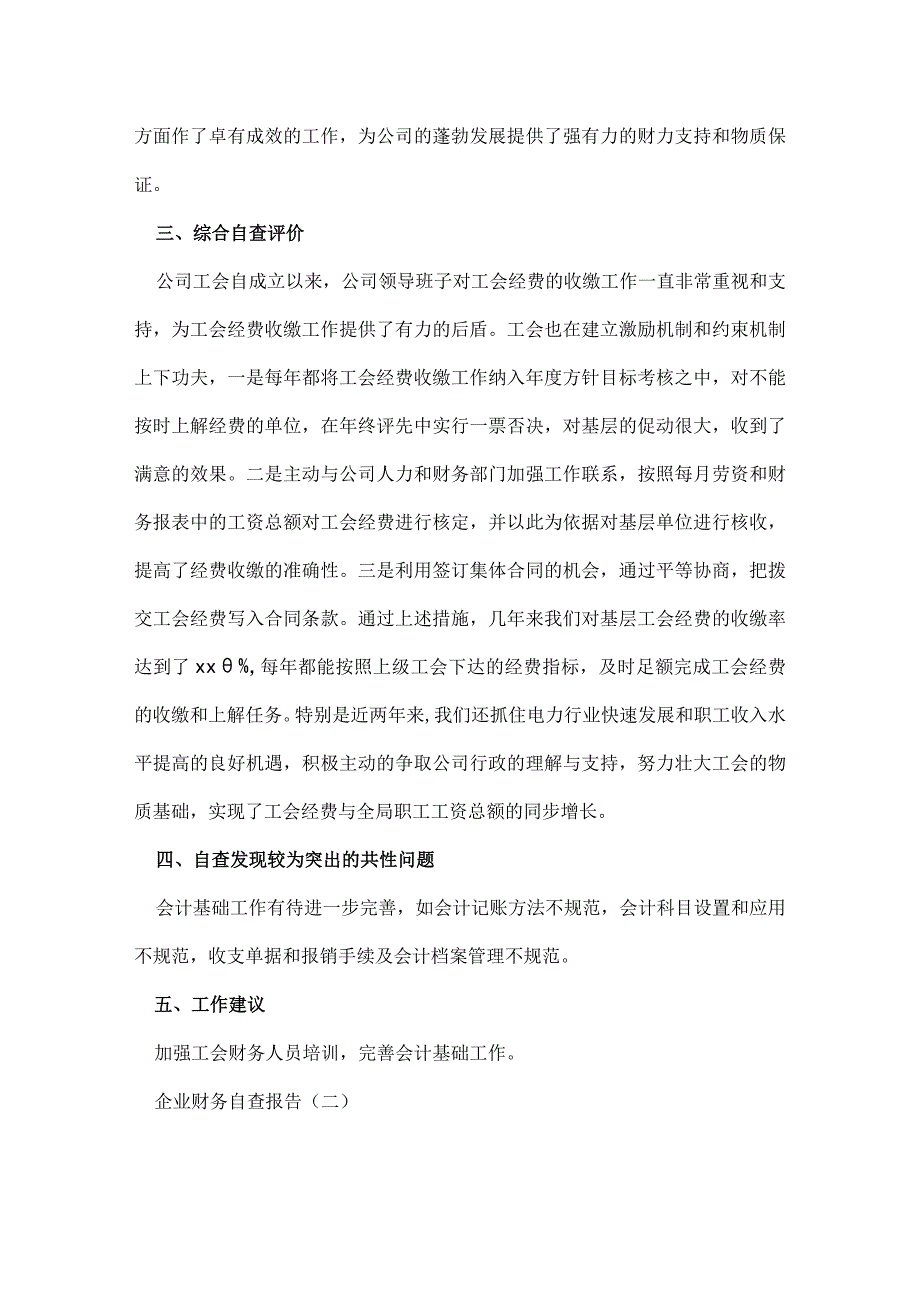 企业财务自查报告.docx_第2页