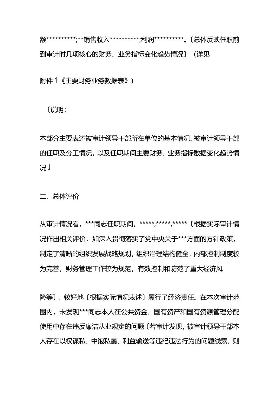 经济责任审计报告模板.docx_第3页