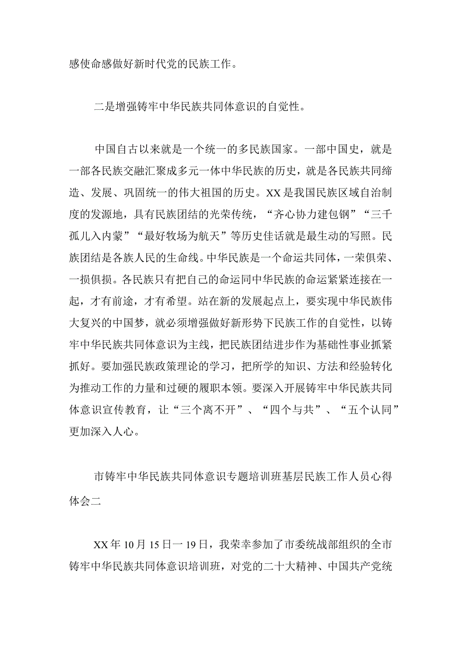 市铸牢中华民族共同体意识专题培训班基层民族工作人员心得体会.docx_第2页