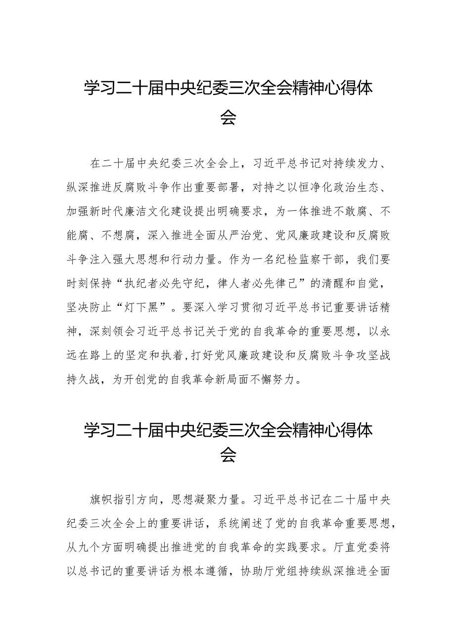 二十届中央纪委三次全会精神心得体会发言稿十九篇.docx_第1页