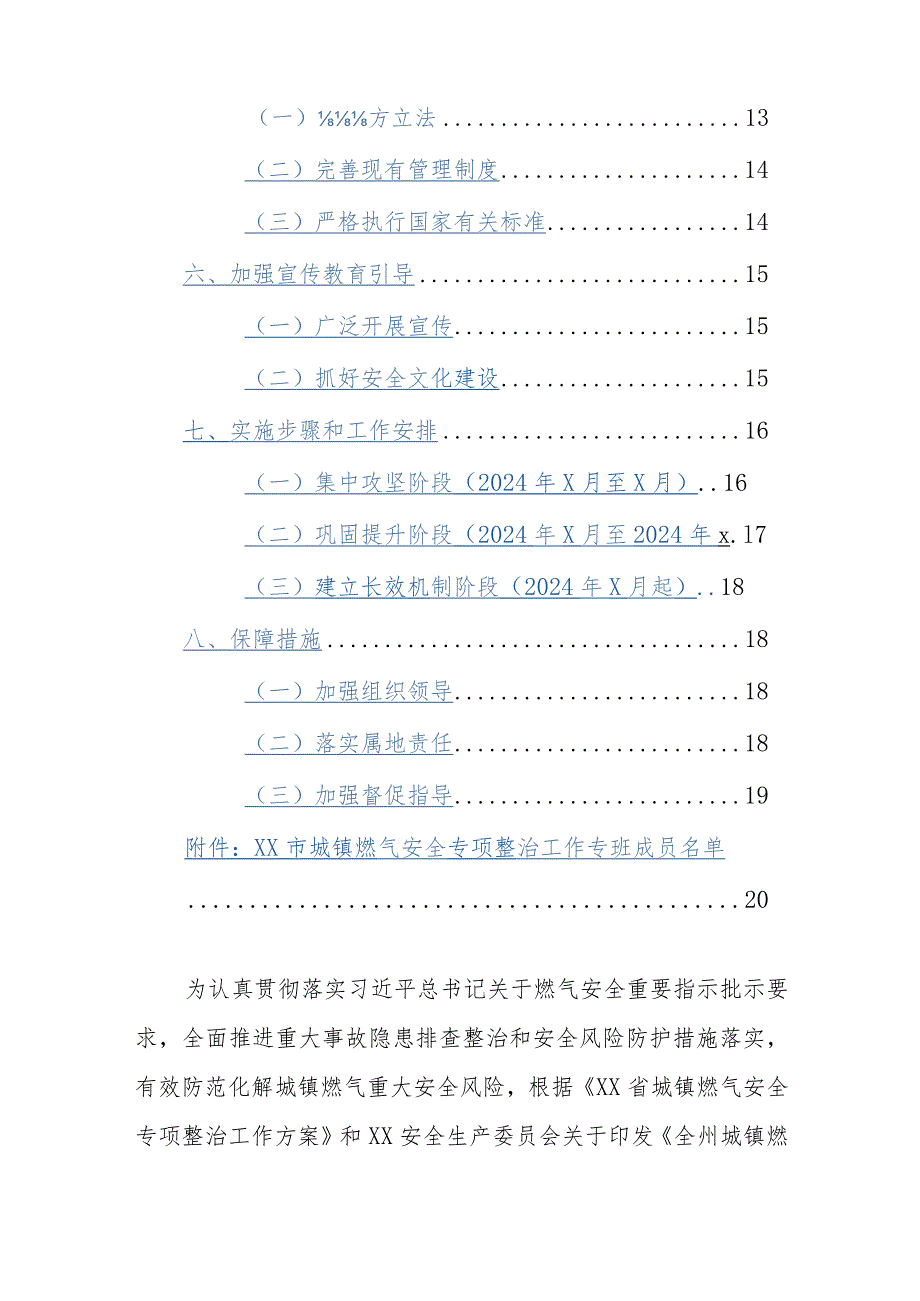 2024年城镇燃气安全专项整治工作方案参考范文.docx_第2页