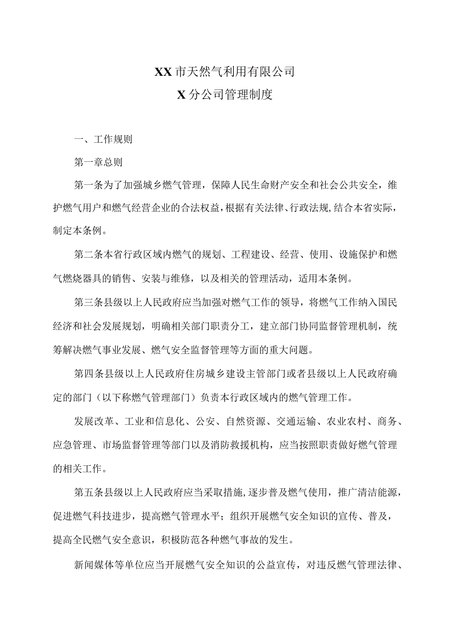 XX市天然气利用有限公司X分公司管理制度（2024年）.docx_第1页