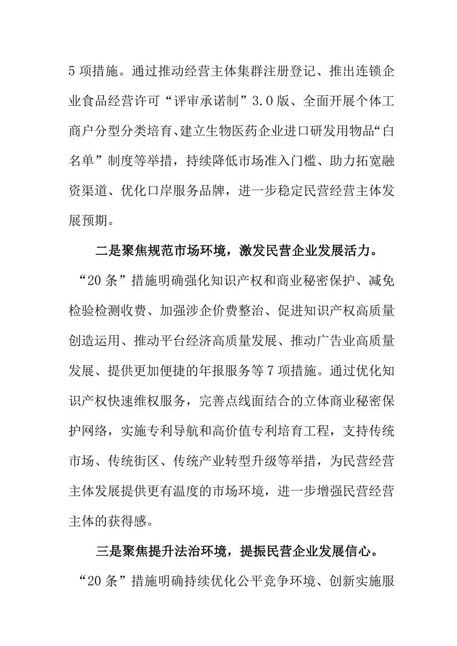 X市出台相应政策措施支持民营经济壮大发展工作亮点.docx_第2页