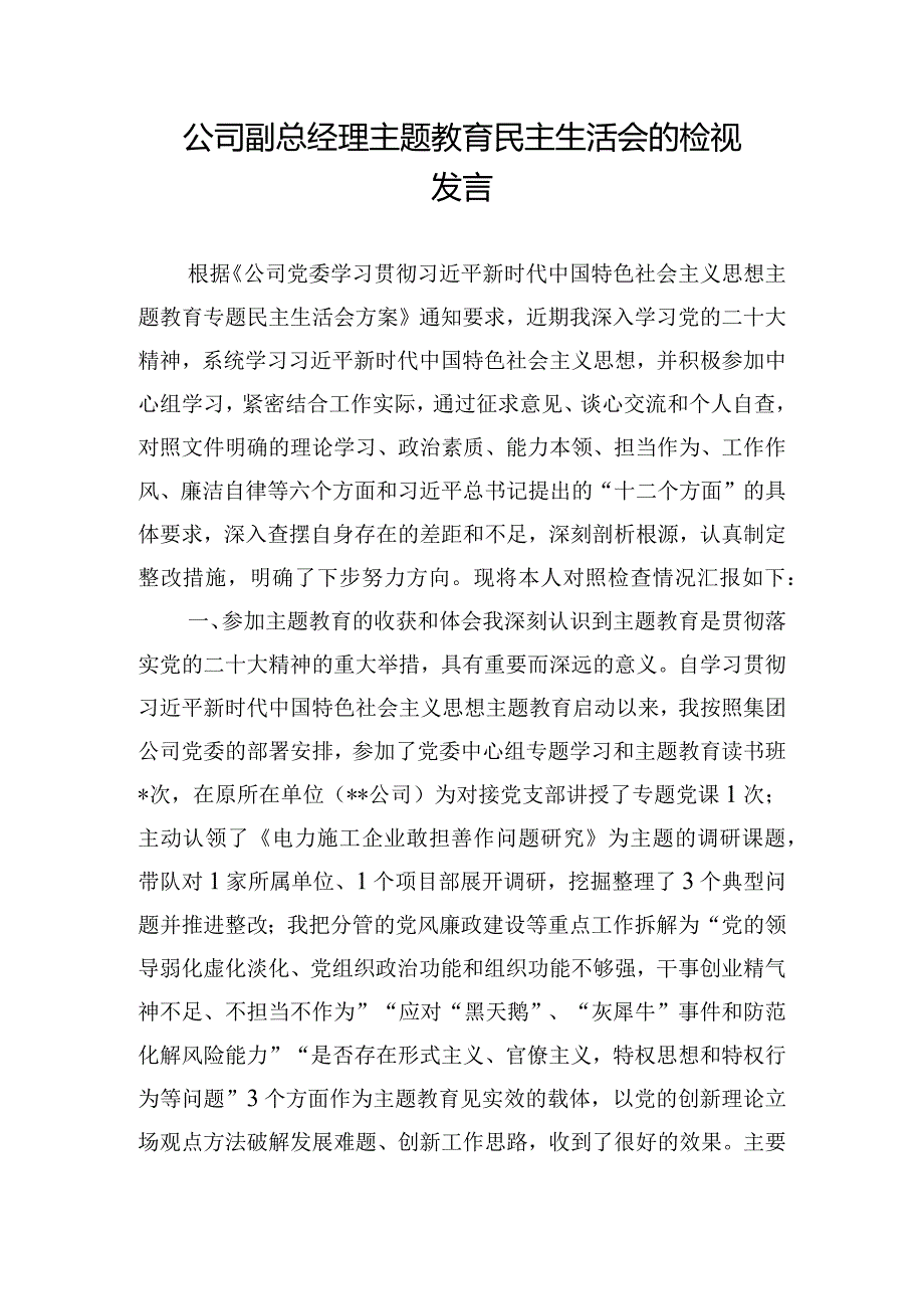 公司副总经理主题教育民主生活会的检视发言.docx_第1页