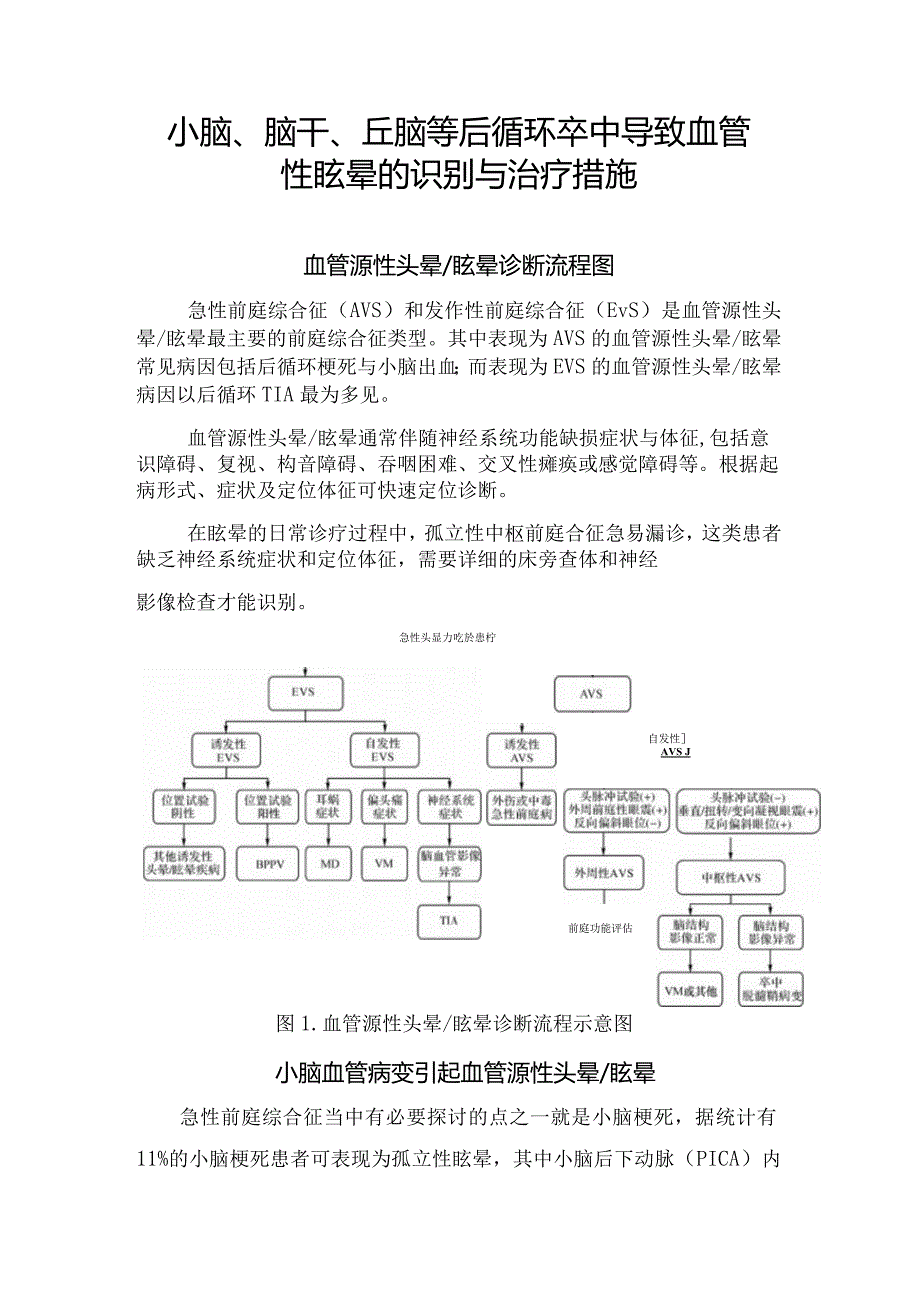 小脑、脑干、丘脑等后循环卒中导致血管性眩晕的识别与治疗措施.docx_第1页