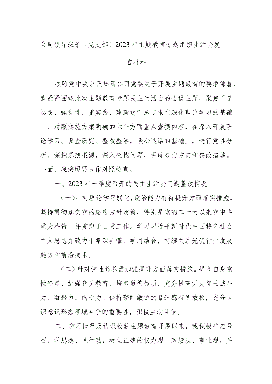 公司领导班子（党支部）2023年主题教育专题组织生活会发言材料.docx_第1页