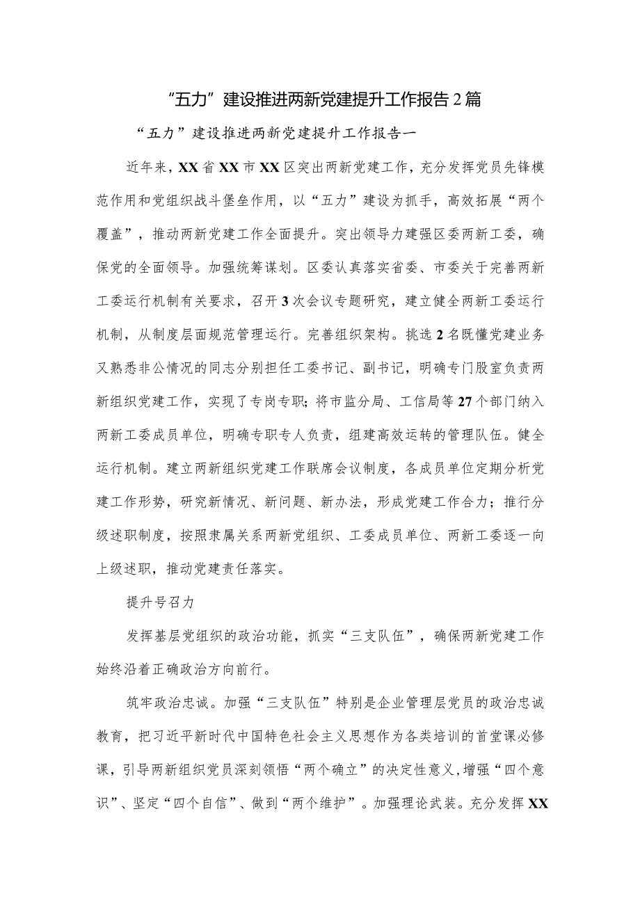 “五力”建设推进两新党建提升工作报告2篇.docx_第1页