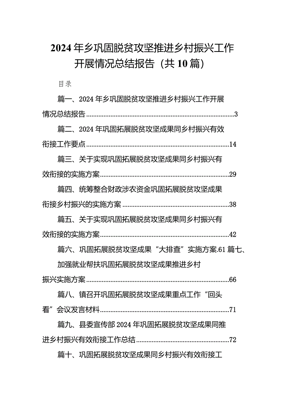 2024年乡巩固脱贫攻坚推进乡村振兴工作开展情况总结报告10篇（详细版）.docx_第1页