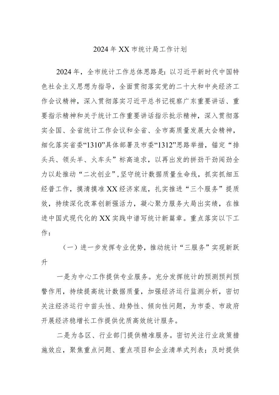 2024年XX市统计局工作计划.docx_第1页