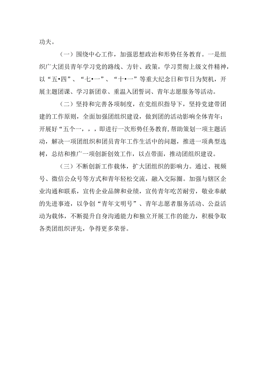 村2023年度团支部工作总结.docx_第2页