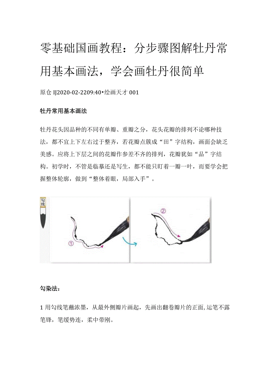 零基础国画教程：分步骤图解牡丹常用基本画法学会画牡丹很简单.docx_第1页