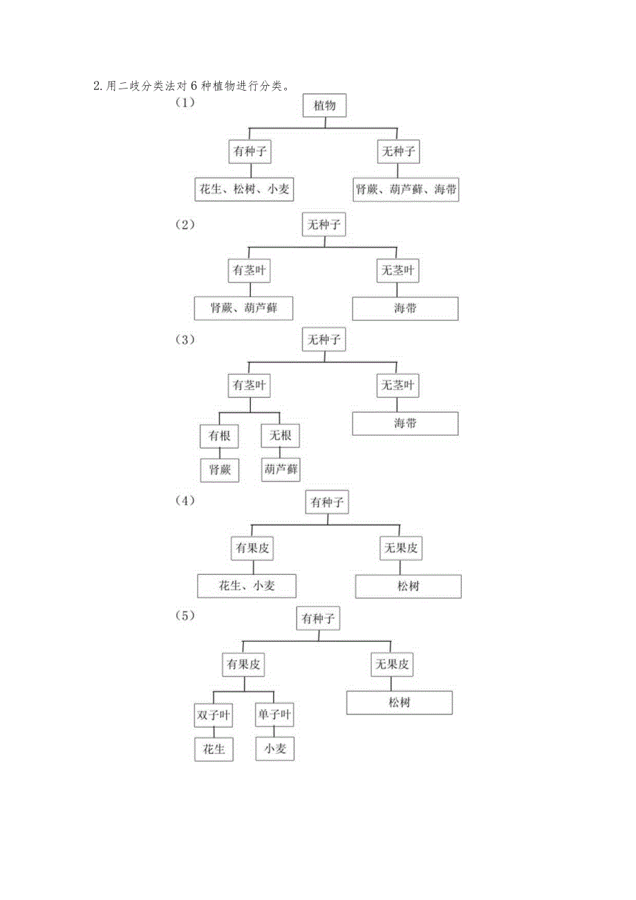 青岛版科学六年级下册第6课给植物分类学历案.docx_第2页