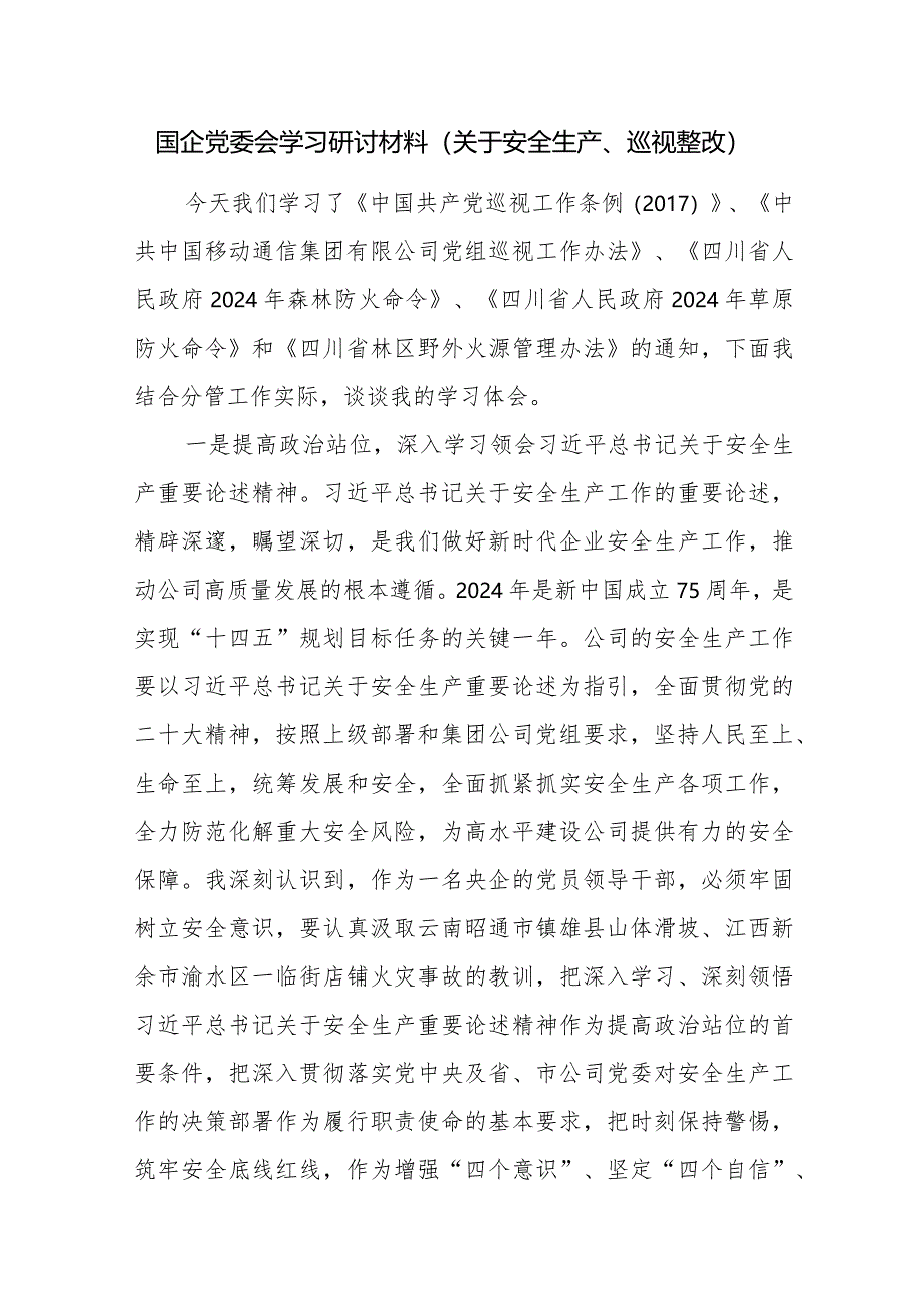 2024年在国企关于安全生产、巡视整改专题学习研讨发言材料4篇.docx_第2页