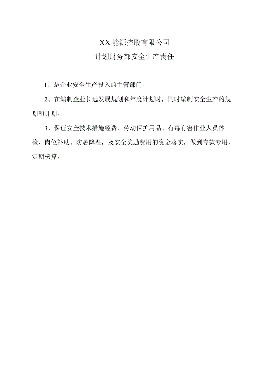 XX能源控股有限公司计划财务部安全生产责任（2023年）.docx_第1页