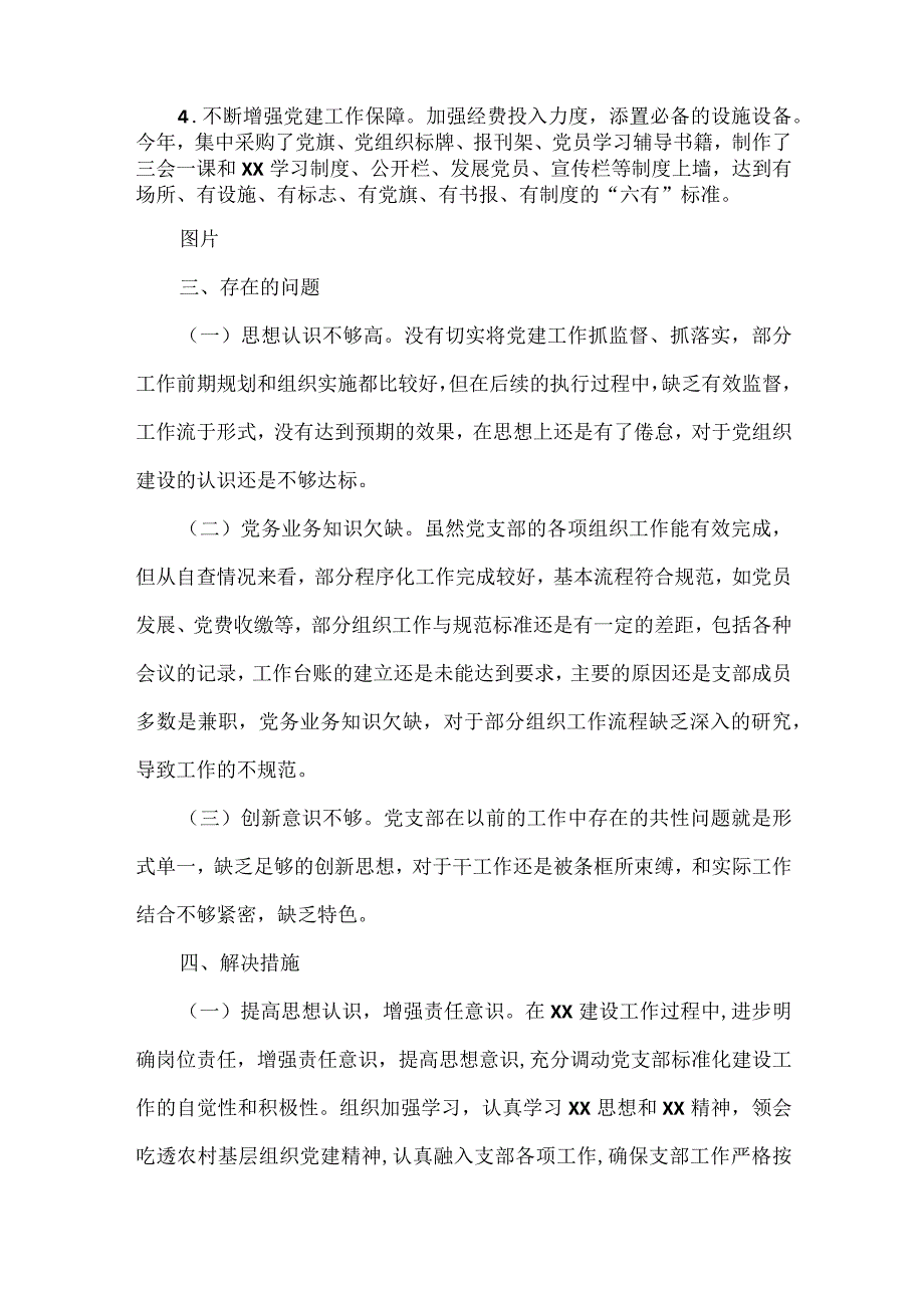 XXX村党支部自评报告范文.docx_第3页