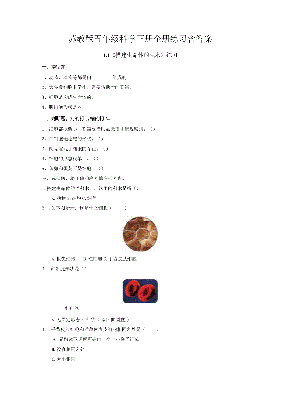 苏教版五年级科学下册全册练习含答案.docx_第1页