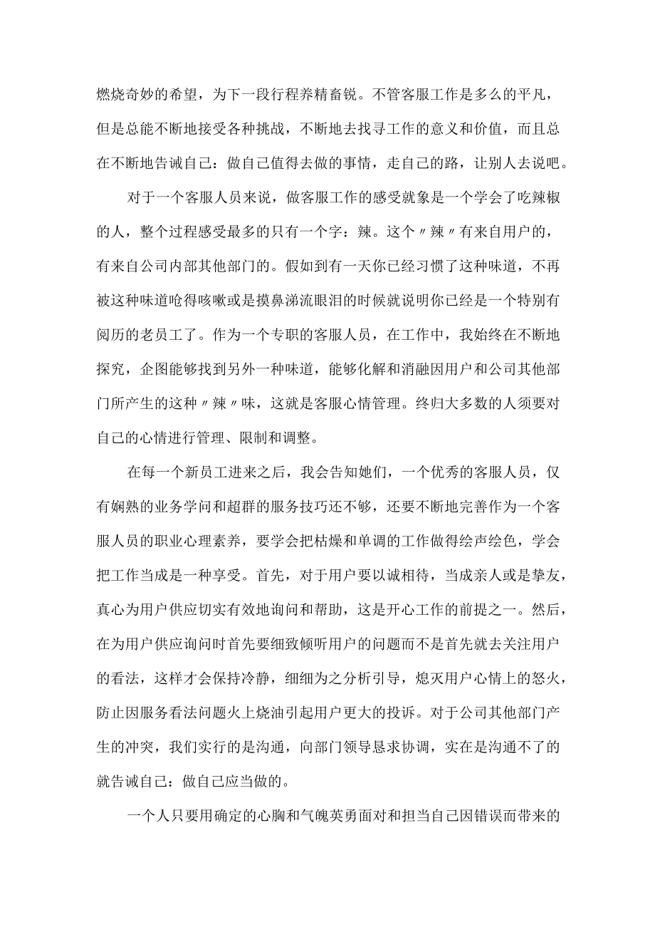 2024电商客服个人工作总结范文.docx_第2页