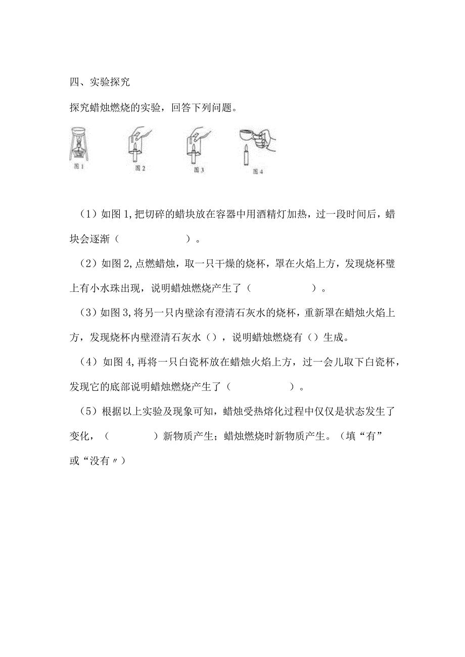 苏教版六年级科学上册全册课后练习含答案.docx_第2页