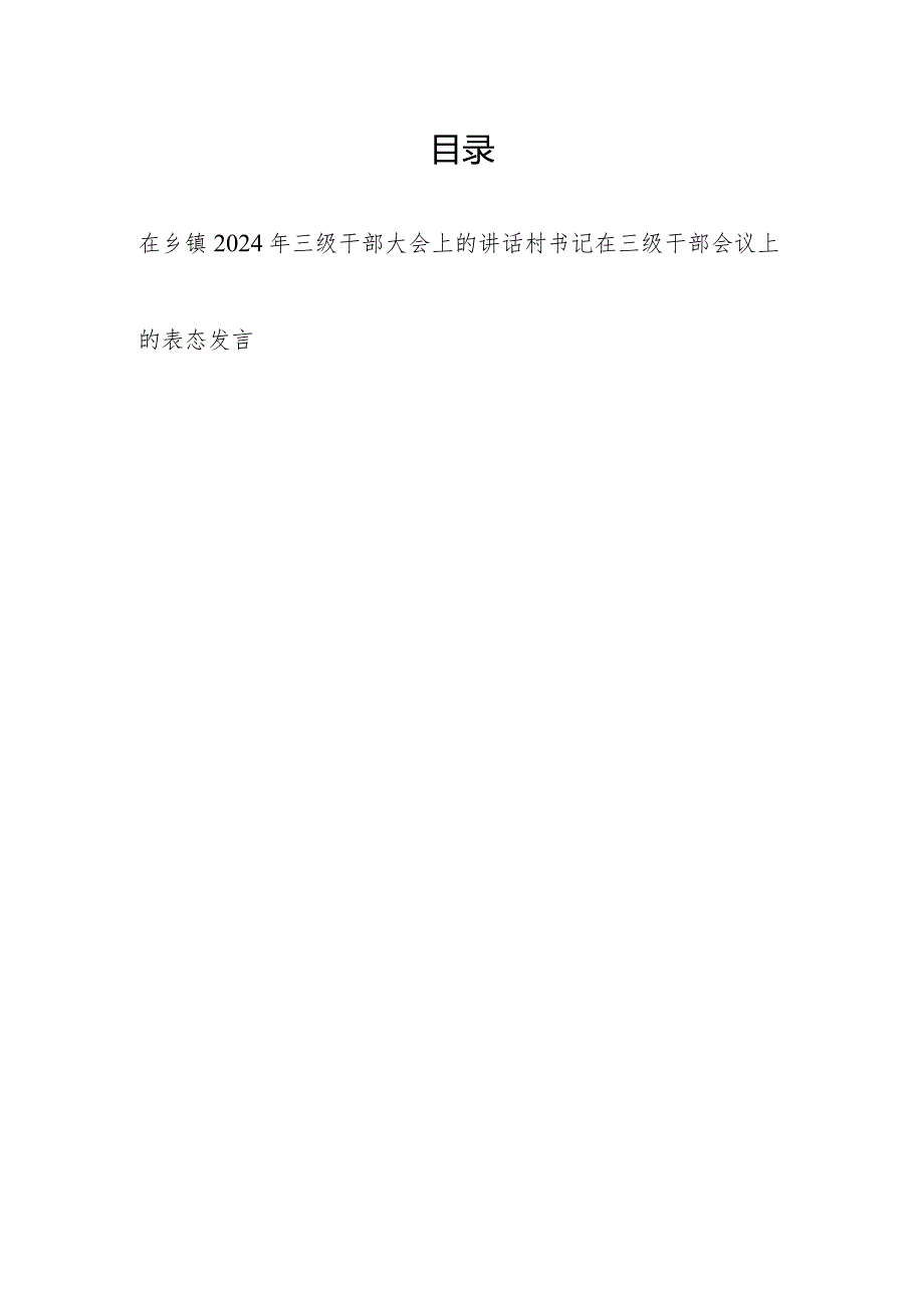 在乡镇2024年三级干部大会上的讲话和村书记在三级干部会议上的表态发言.docx_第1页