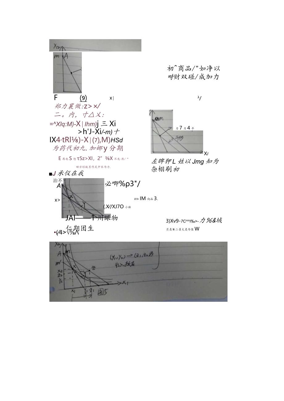 斯勒茨基方程推导——期末考察作业.docx_第2页