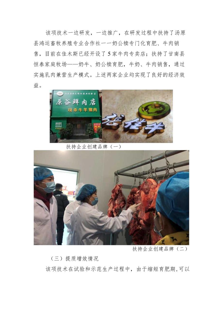 荷斯坦公犊低成本高效生产优质牛肉育肥饲养技术.docx_第3页