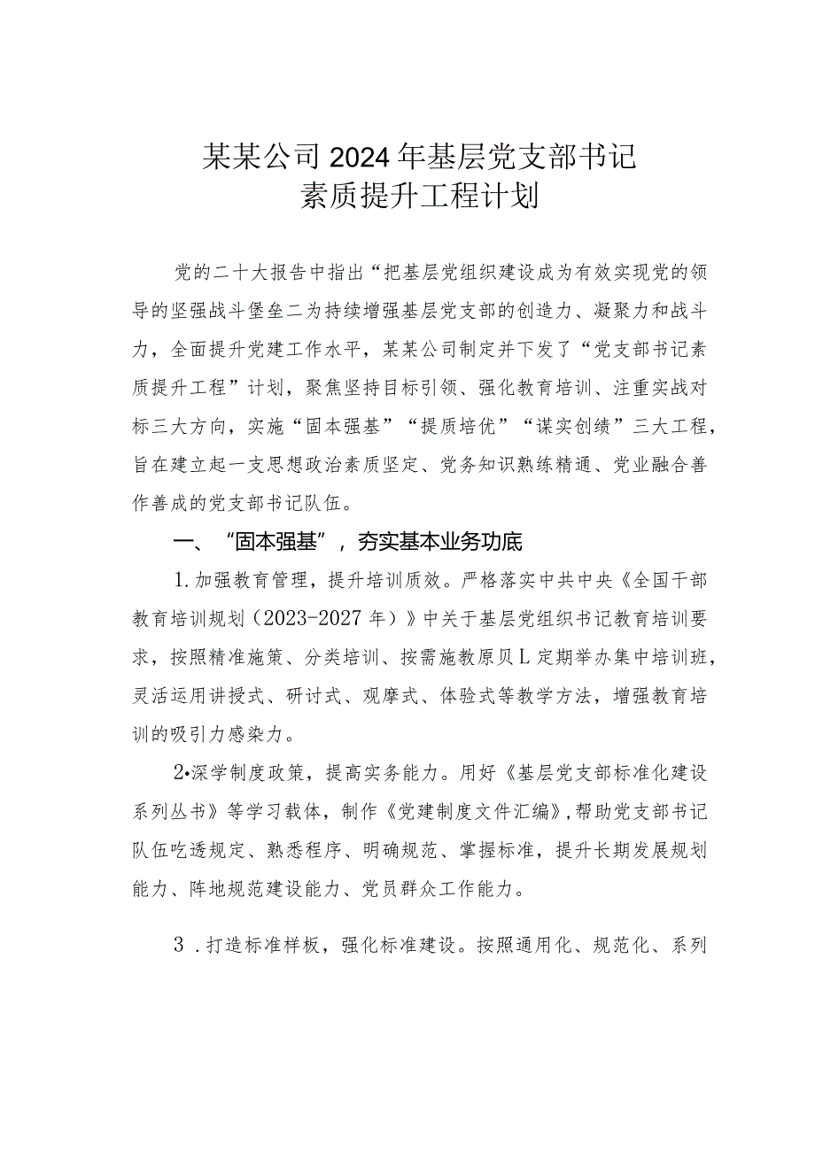 某某公司2024年基层党支部书记素质提升工程计划.docx_第1页