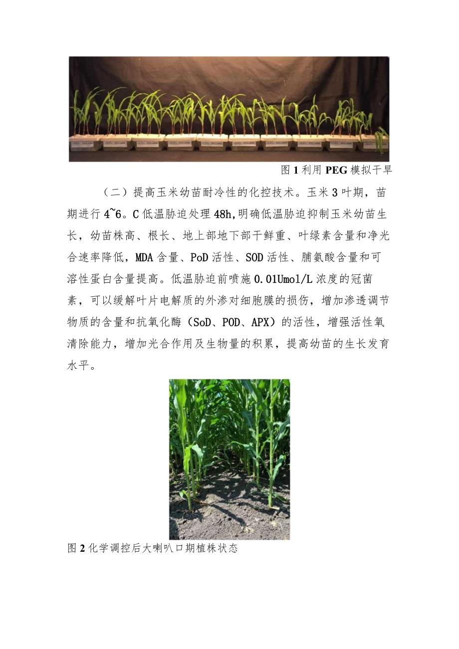 玉米抗逆稳产全程机械化栽培技术.docx_第3页