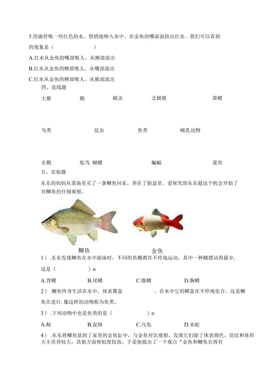 青岛版科学四年级上册全册单元测试含期末及答案.docx_第2页