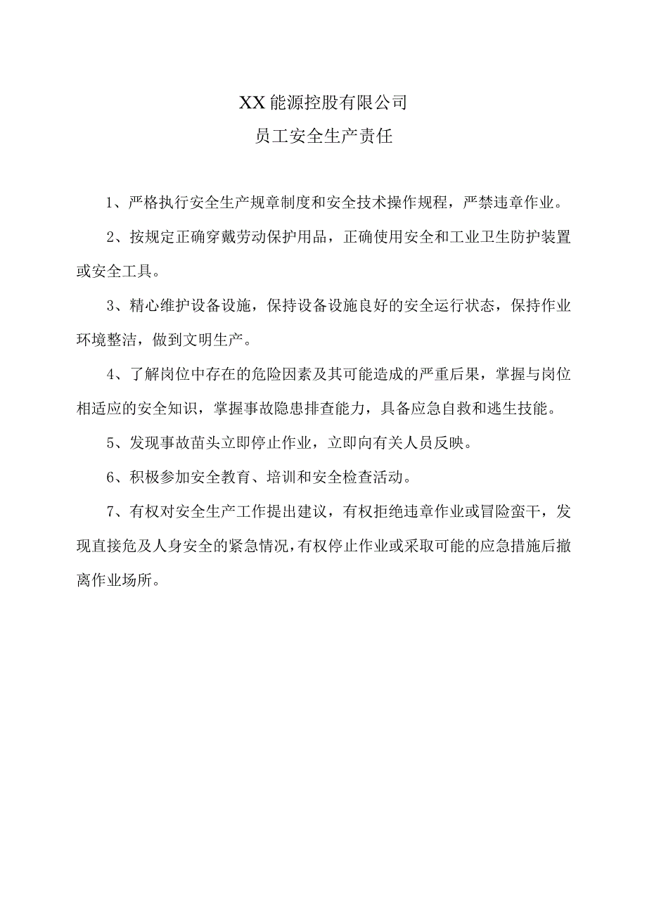 XX能源控股有限公司员工安全生产责任（2023年）.docx_第1页