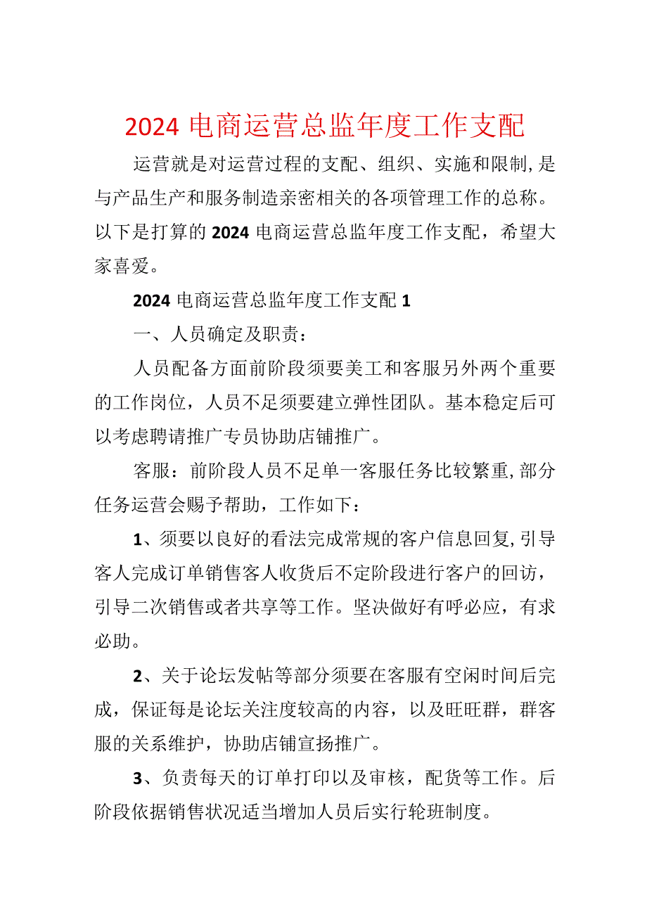 2024电商运营总监年度工作计划.docx_第1页