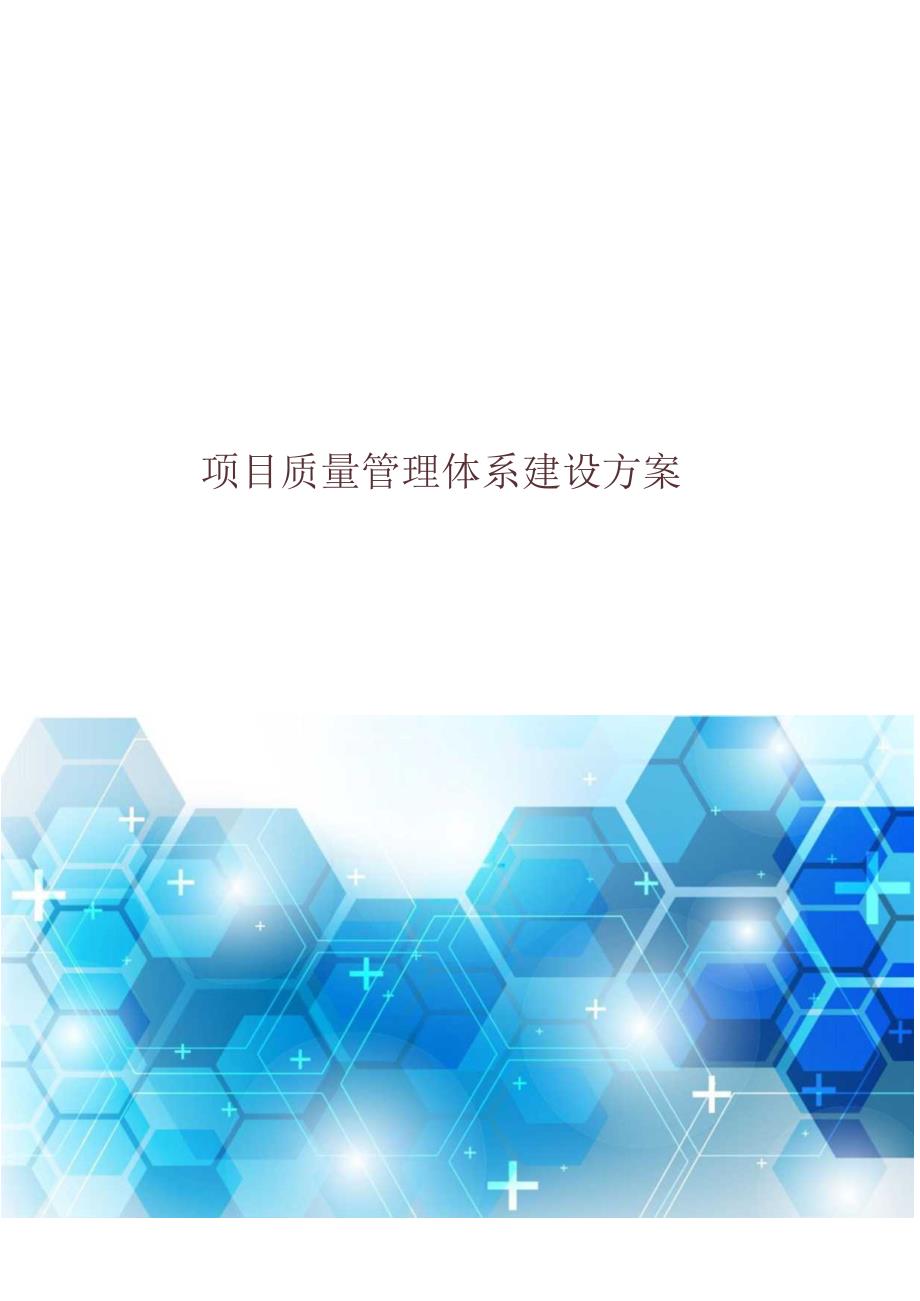 项目质量管理体系建设方案.docx_第1页