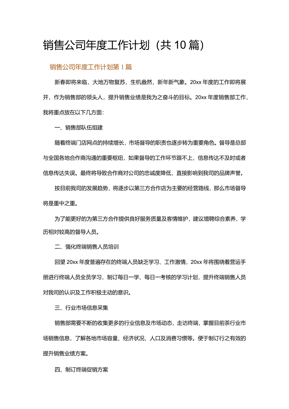 销售公司年度工作计划.docx_第1页