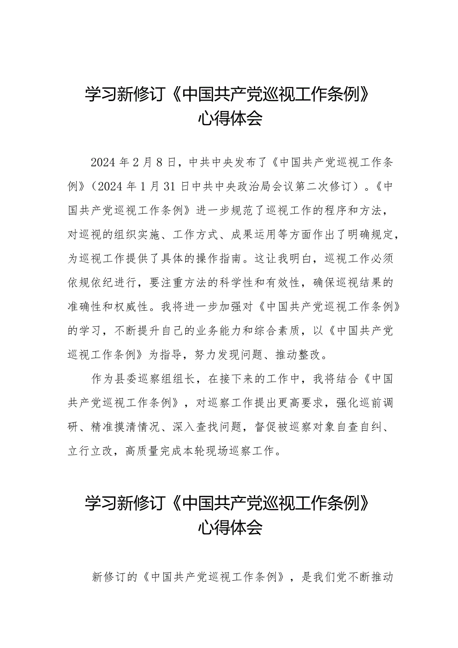 巡察干部学习2024新修订中国共产党巡视工作条例心得体会11篇.docx_第1页