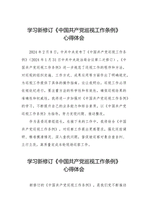 巡察干部学习2024新修订中国共产党巡视工作条例心得体会11篇.docx