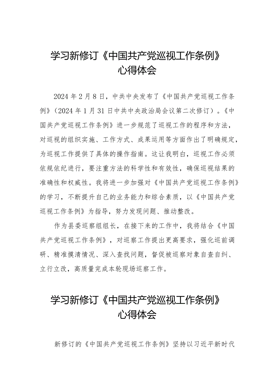 巡察干部学习2024新修订中国共产党巡视工作条例心得体会(十三篇).docx_第1页