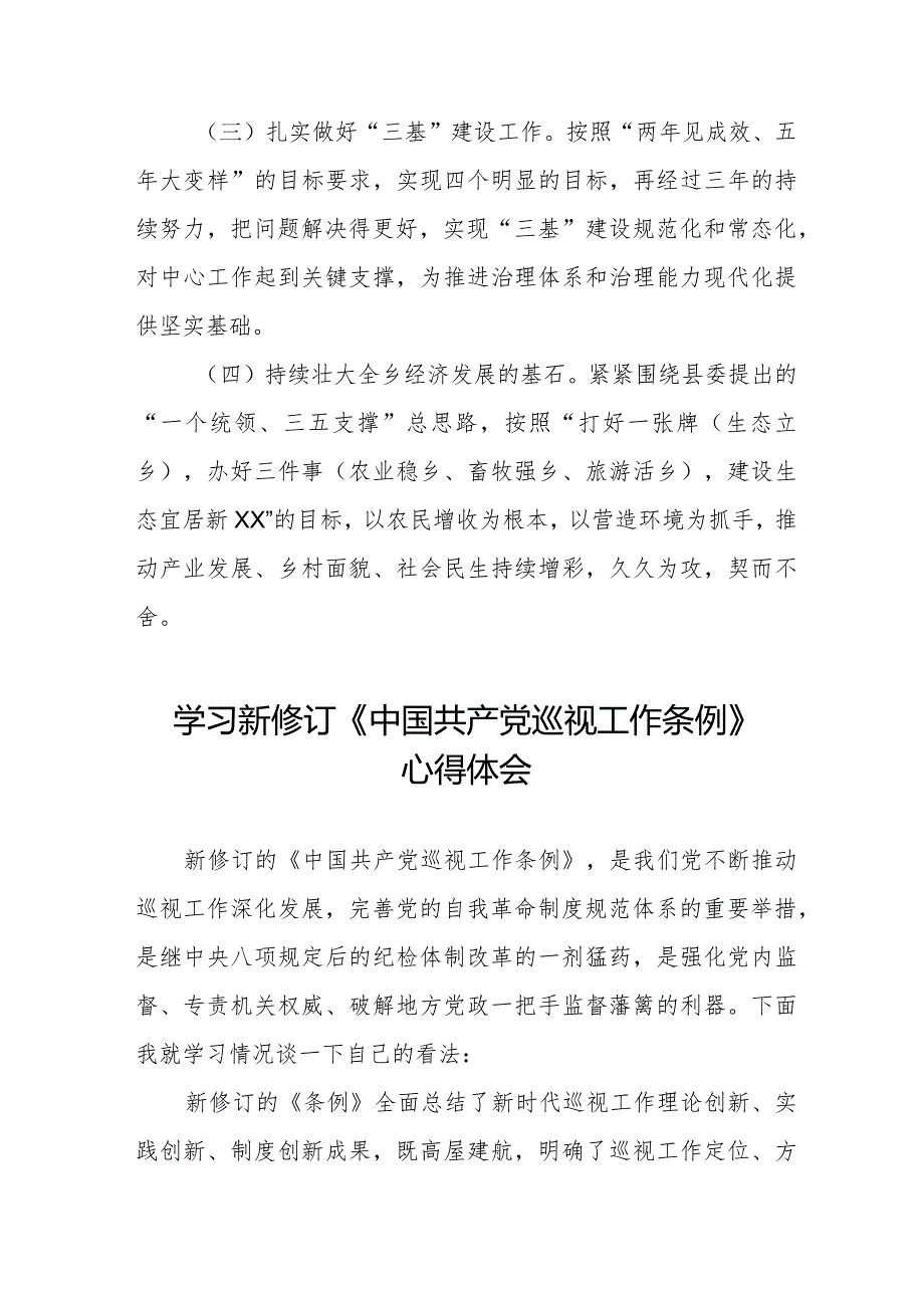 镇长书记学习2024新修订《中国共产党巡视工作条例》心得体会8篇.docx_第3页