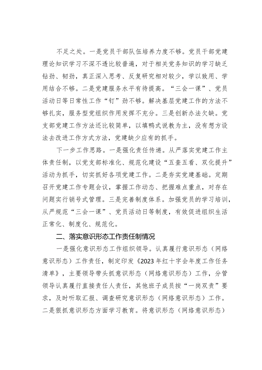 某某区红十字会党支部书记抓基层党建述职报告.docx_第2页