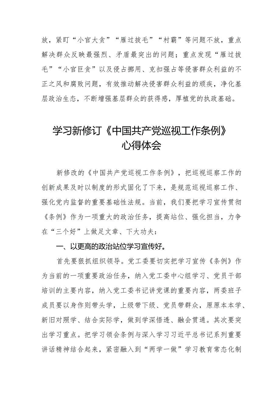 2024版新修订《中国共产党巡视工作条例》学习心得体会(十三篇).docx_第3页