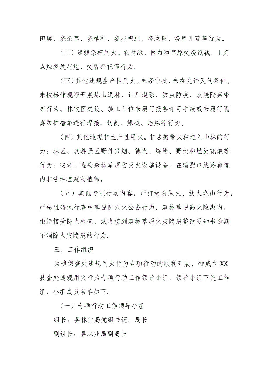 XX县林业局2024年查处违规用火行为专项行动实施方案.docx_第2页