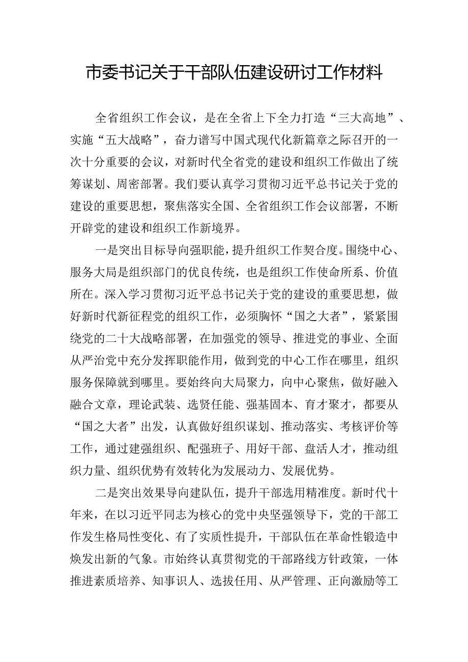 市委书记关于干部队伍建设研讨工作材料.docx_第1页