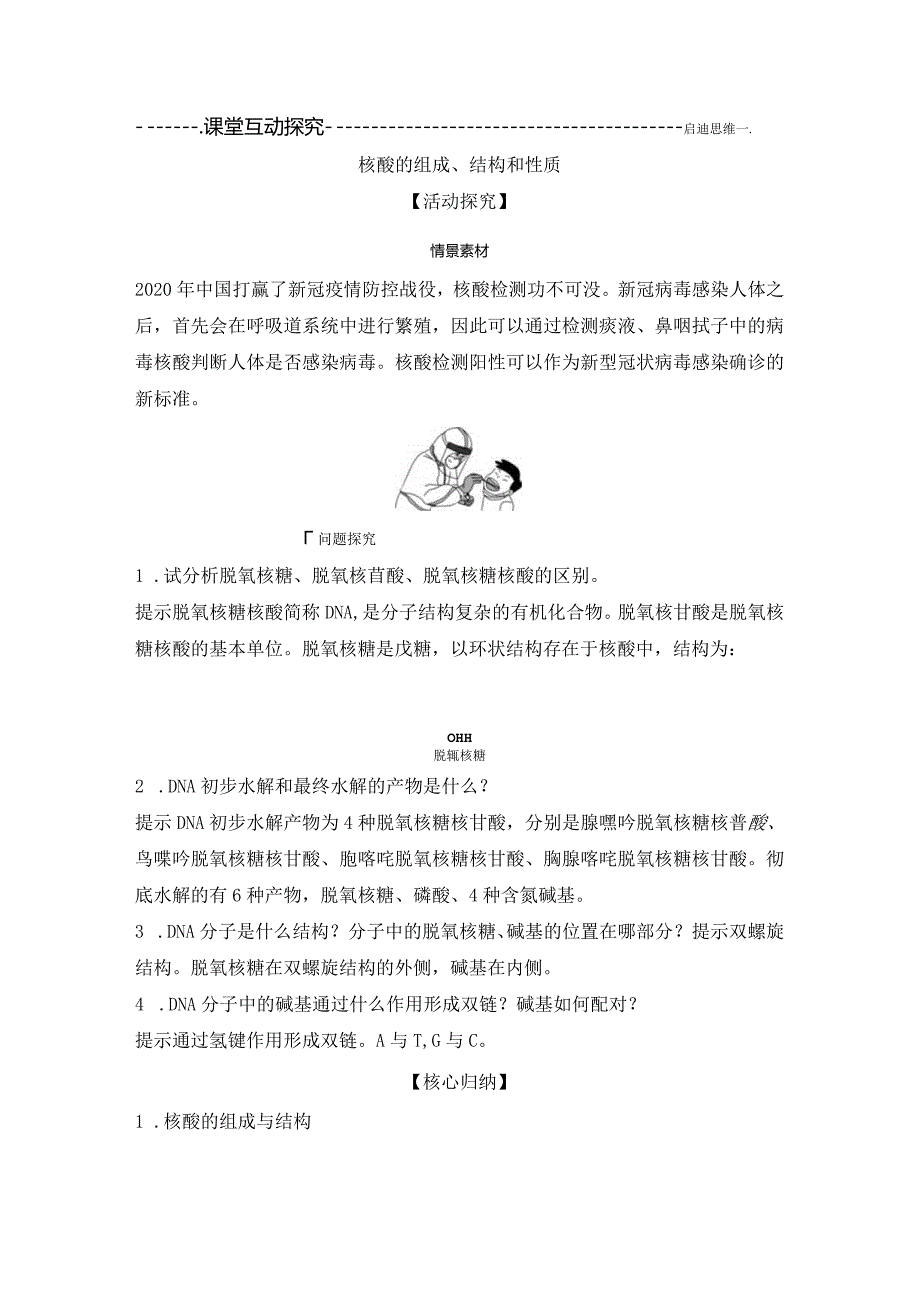 2023-2024学年人教版新教材选择性必修三 第四章第三节 核酸 学案 (7).docx_第3页